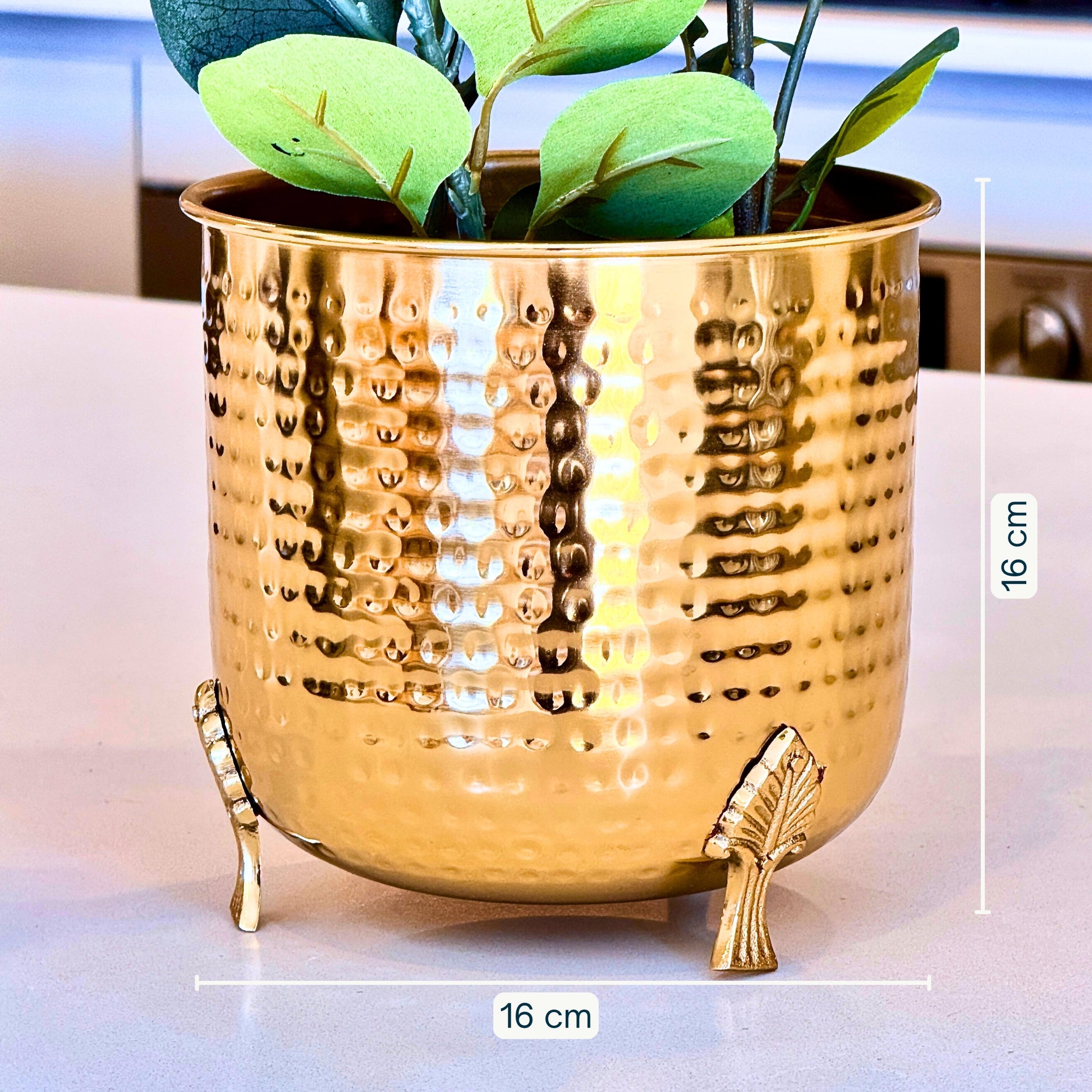 Product image of a Hammered Leaf Leg Planter in Gold from Indian Impressions, featuring a unique hammered texture and a leaf-patterned design. The planter comes with sturdy legs, crafted for elegance and stability. Ideal for enhancing Vastu energy, home décor, or gifting, this piece adds a modern yet traditional charm to any space.