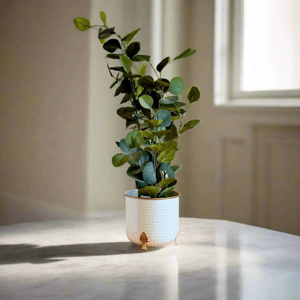 Product image of a Metal Hammered Gold Rim Leaf Leg Planter in White from Indian Impressions, featuring a sleek white body with a hammered texture and a gold rim for an elegant finish. Supported by sturdy leaf-patterned legs, this planter is ideal for enhancing Vastu energy, modern home décor, or gifting, adding sophistication to any space.