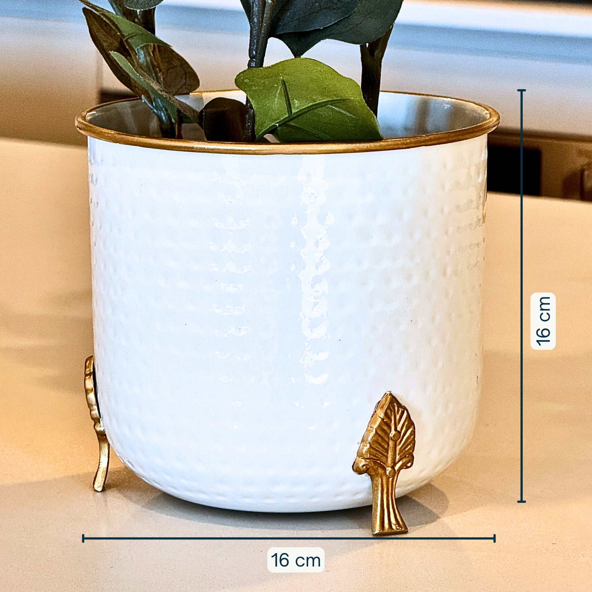 Product image of a Metal Hammered Gold Rim Leaf Leg Planter in White from Indian Impressions, featuring a sleek white body with a hammered texture and a gold rim for an elegant finish. Supported by sturdy leaf-patterned legs, this planter is ideal for enhancing Vastu energy, modern home décor, or gifting, adding sophistication to any space.